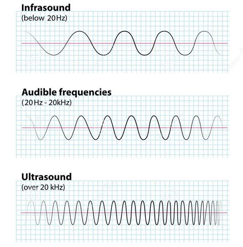 次聲波|Infrasound